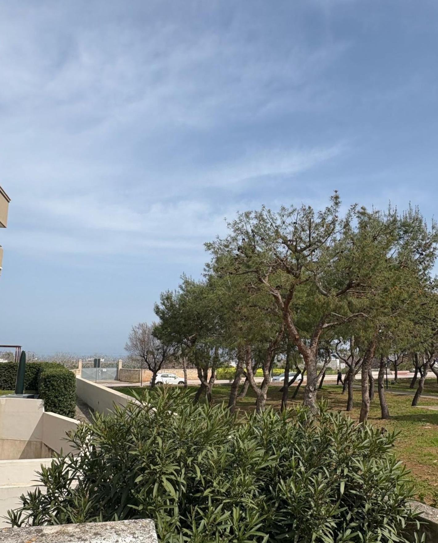 Hotel Venti Di Mare Monopoli Exteriér fotografie